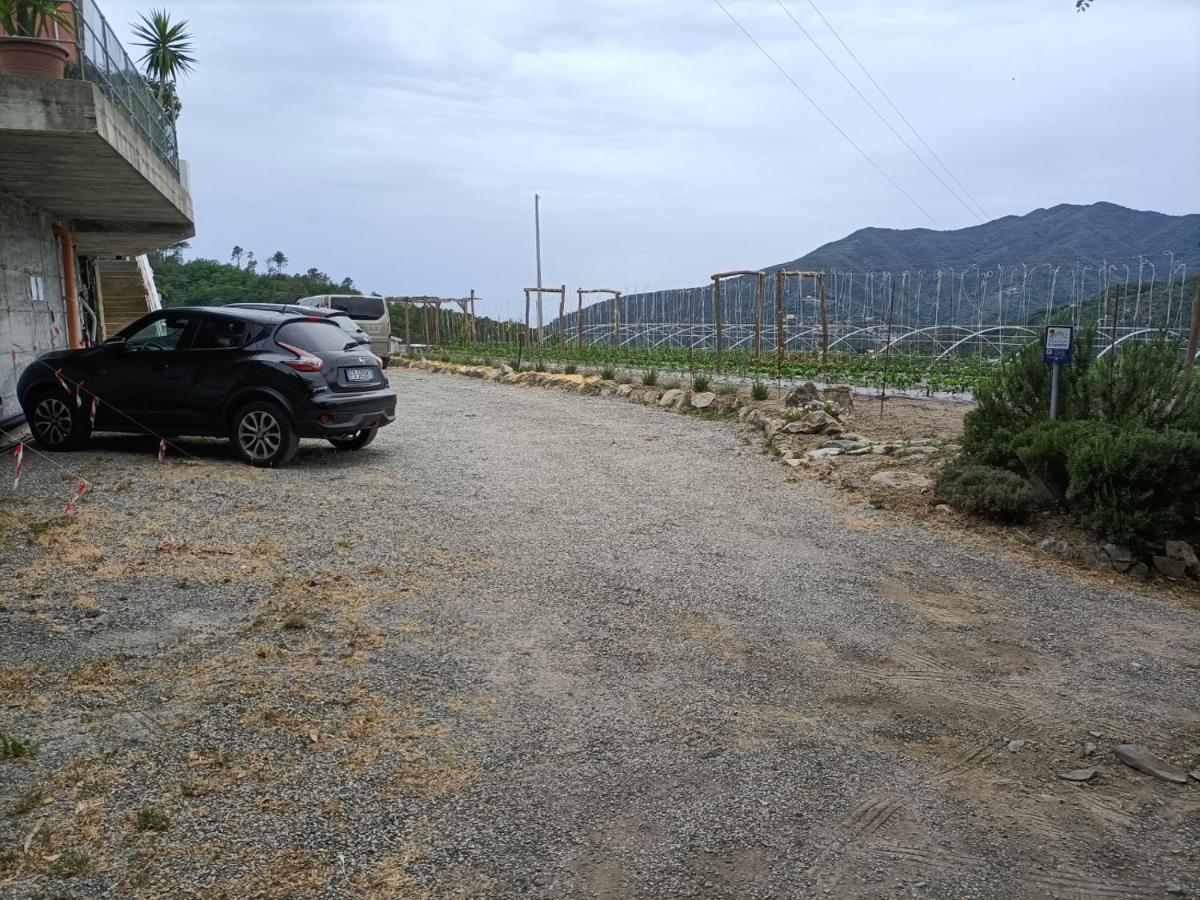 Orto Dei Rolli * Moneglia